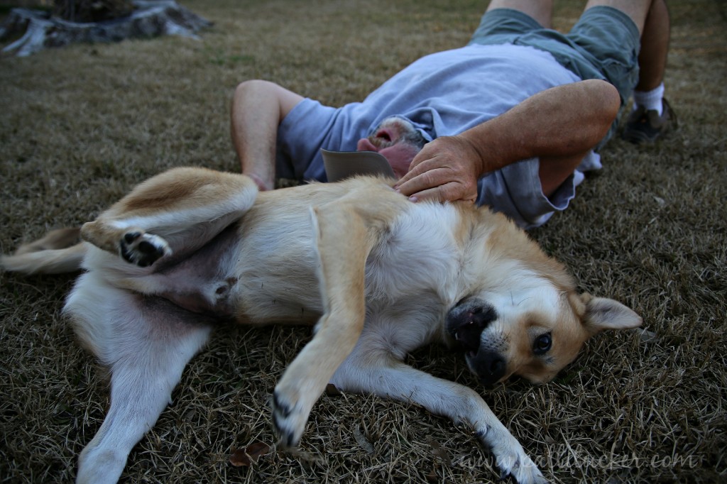 Weekend Dexter and Husband