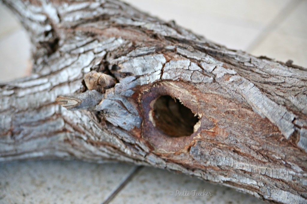 Nature is Getting on My Last Nerve
