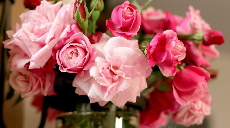Happy Day!