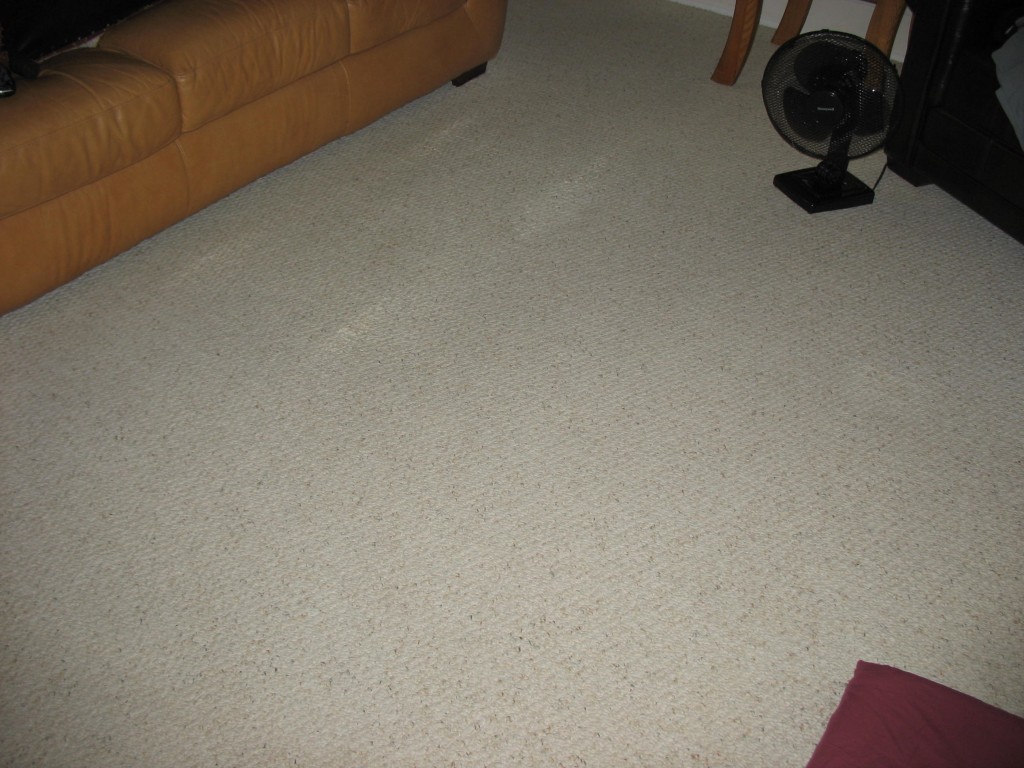 Folex Carpet Stain Remover