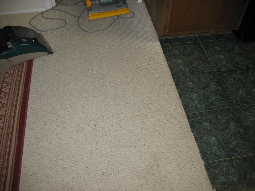 Folex Carpet Stain Remover