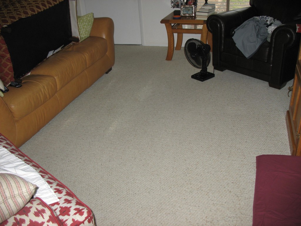 Folex Carpet Stain Remover