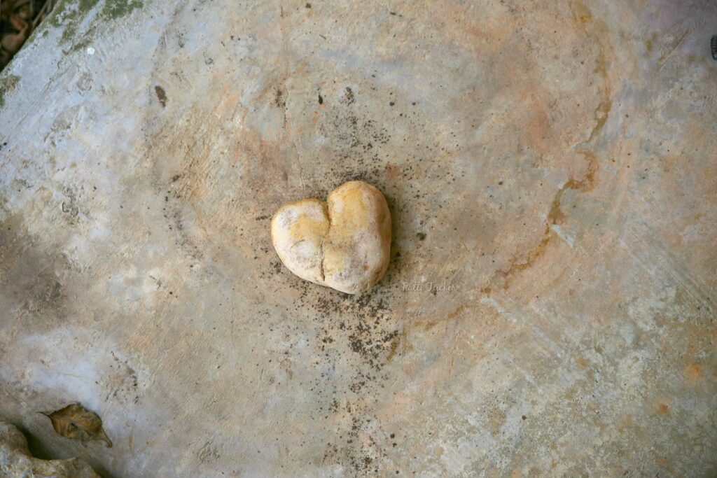 heart shaped rock on concrete