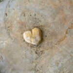 heart shaped rock on concrete